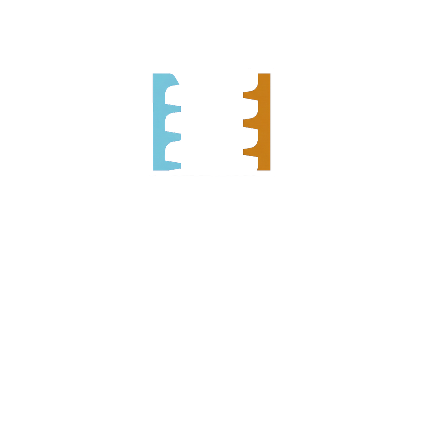 Metal Services SpA